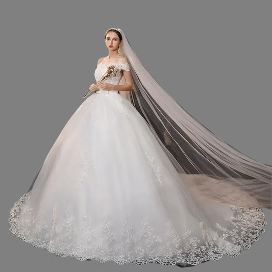 Long Sleeve V Neck Lace Wedding Dress 2025